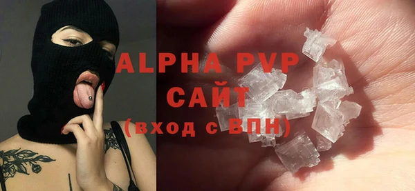 PSILOCYBIN Гусиноозёрск