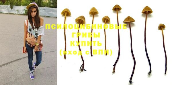 эйфоретик Гусев