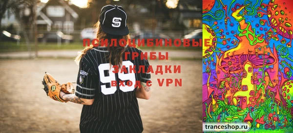 эйфоретик Гусев