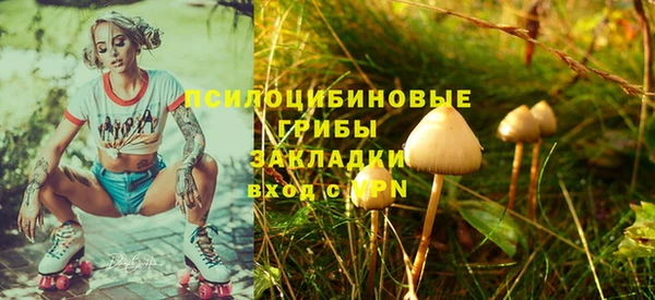 эйфоретик Гусев
