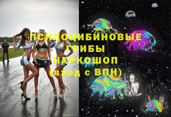 PSILOCYBIN Гусиноозёрск