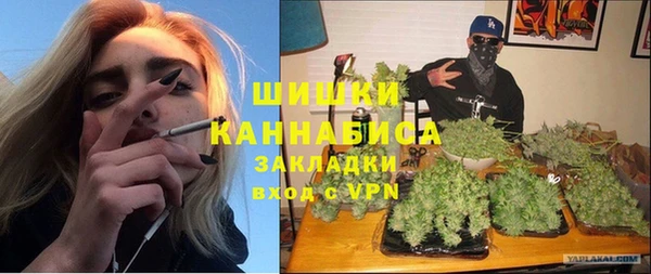 дмт Дмитровск