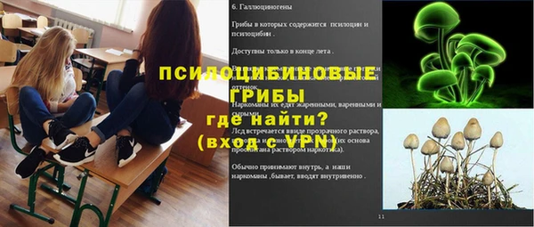 PSILOCYBIN Гусиноозёрск