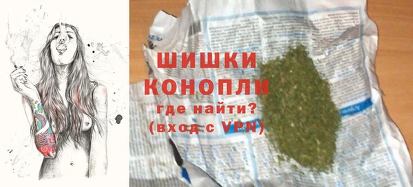 эйфоретик Гусев